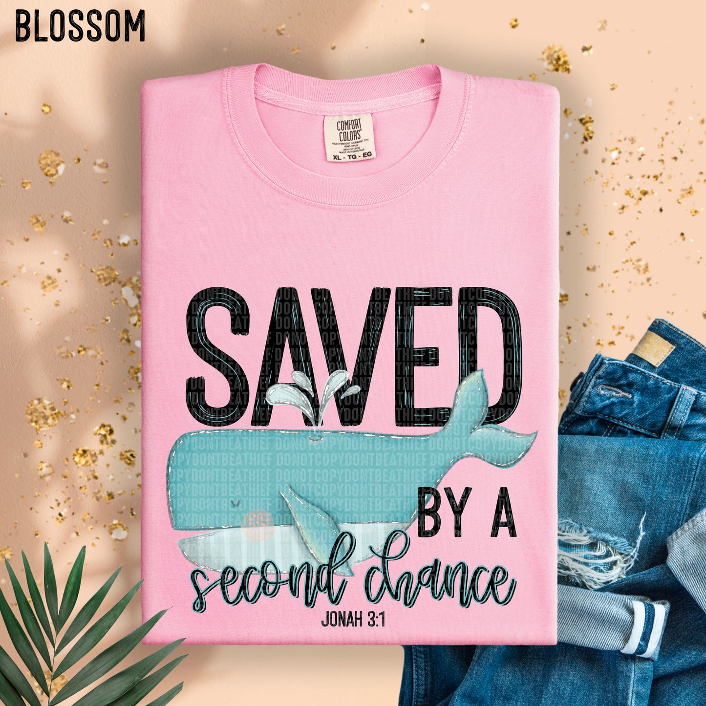 Saved by a second chance Jonah 3:1- DTF Transfer
