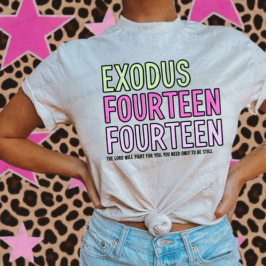 Exodus 14:14-DTF Transfer