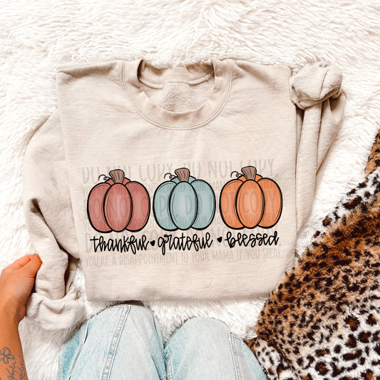 Thankful Grateful Blessed - DTF Transfer