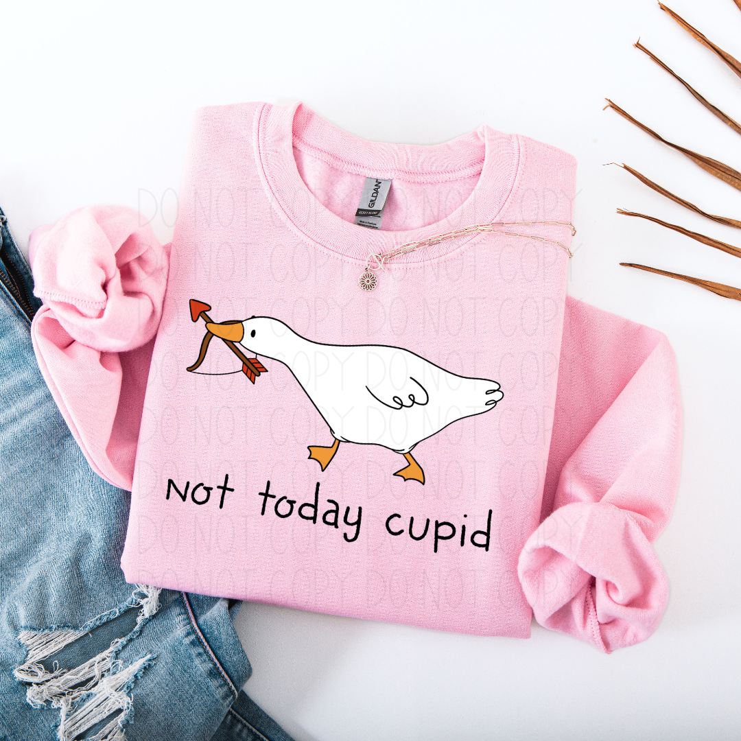 Not today cupid- DTF Transfer