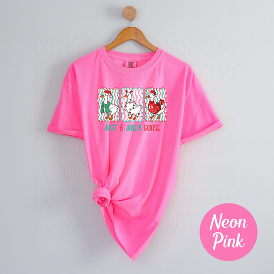 Just a jolly goose- DTF Transfer