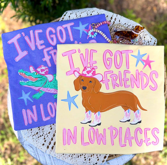 I've got friends in low places- DTF Transfer