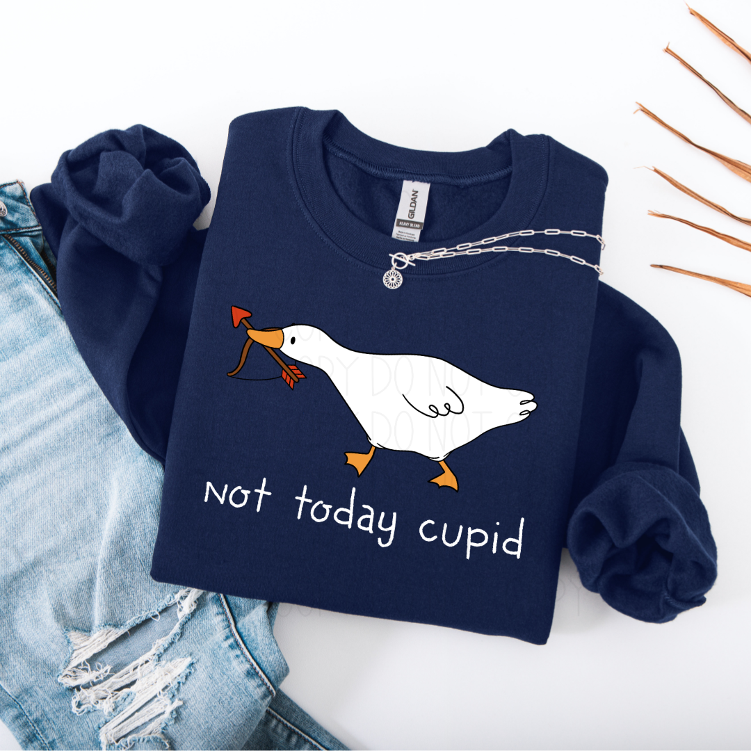 Not today cupid- DTF Transfer