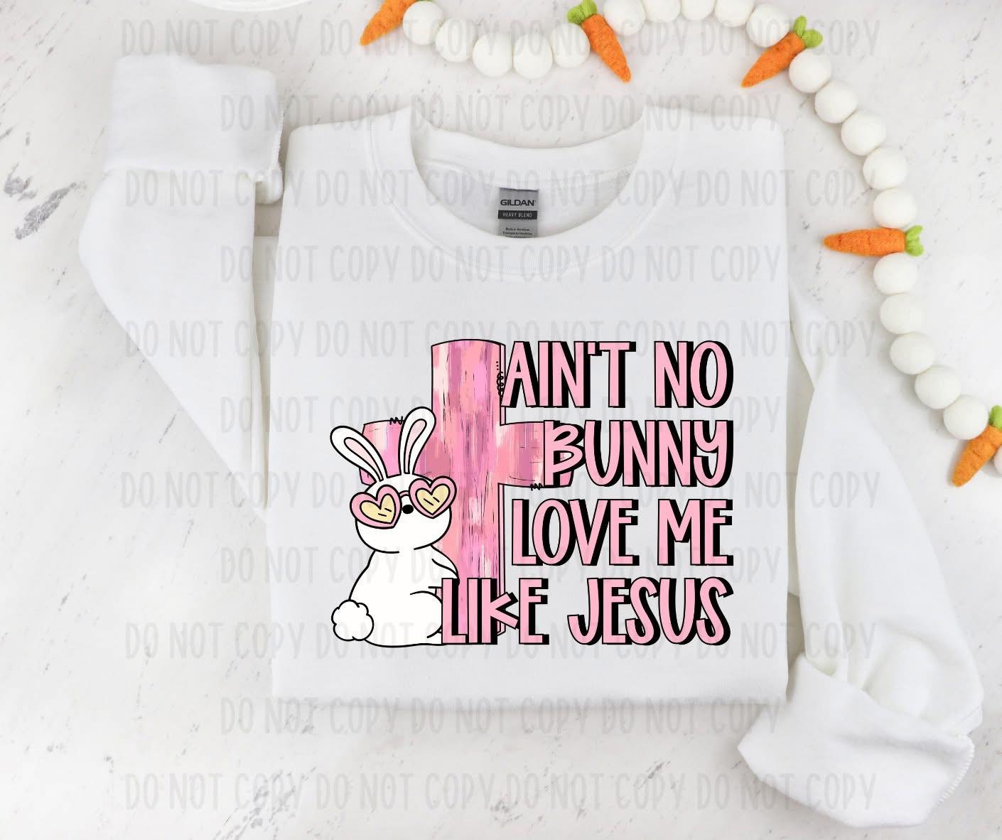 Aint No Bunny Love Me Like Jesus RC - DTF Transfer