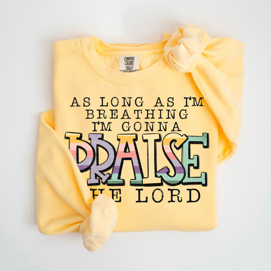 As long as I'm breathing I'm gonna praise the Lord-DTF Transfer