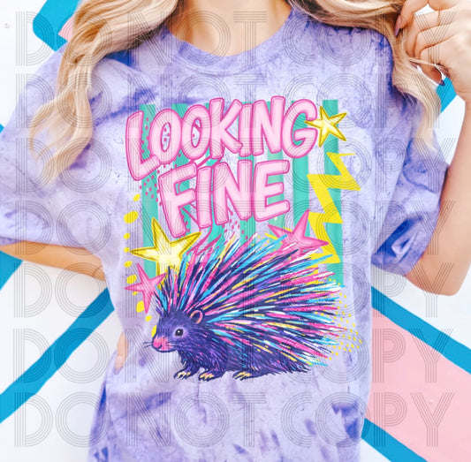 Looking Fine Porcupine- DTF Transfer