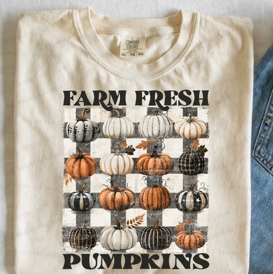 Farm Fresh Pumpkins-DTF Transfer