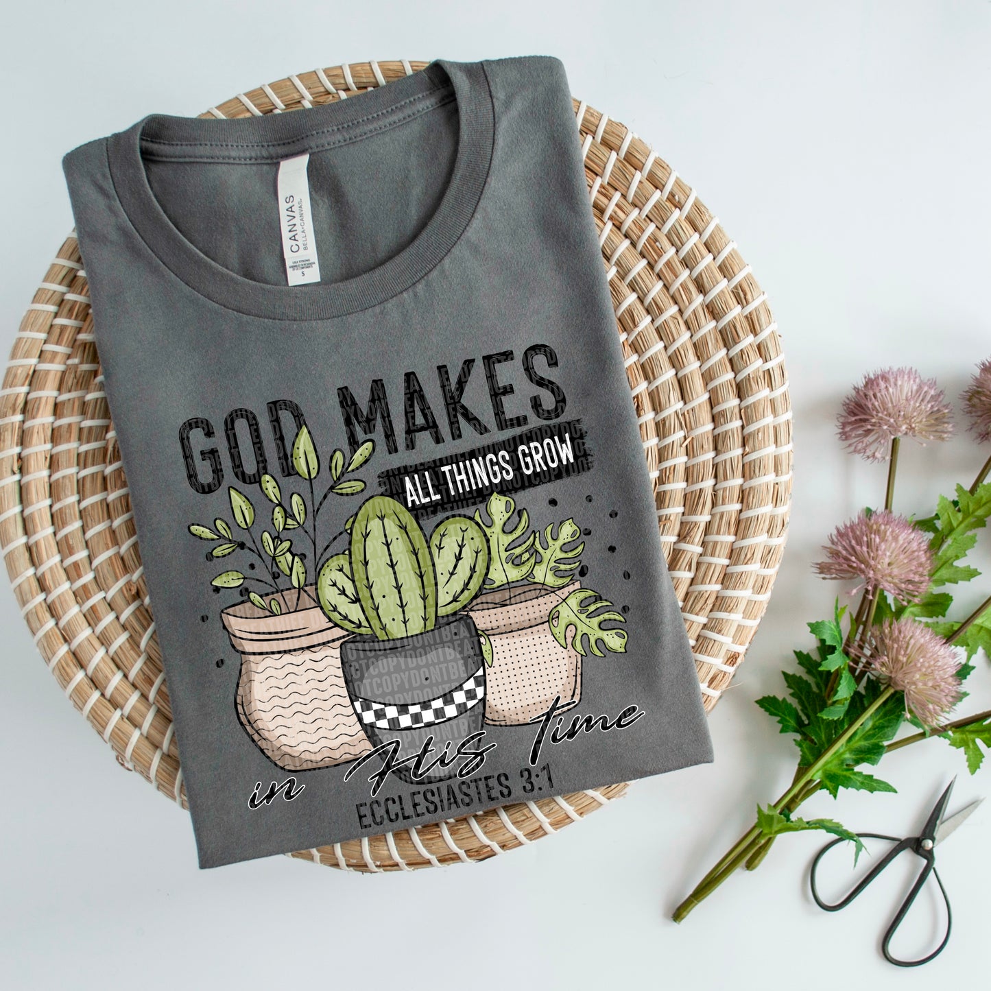 Cacti-God makes all things grow in His time Ecclesiastes 3:1- DTF Transfer