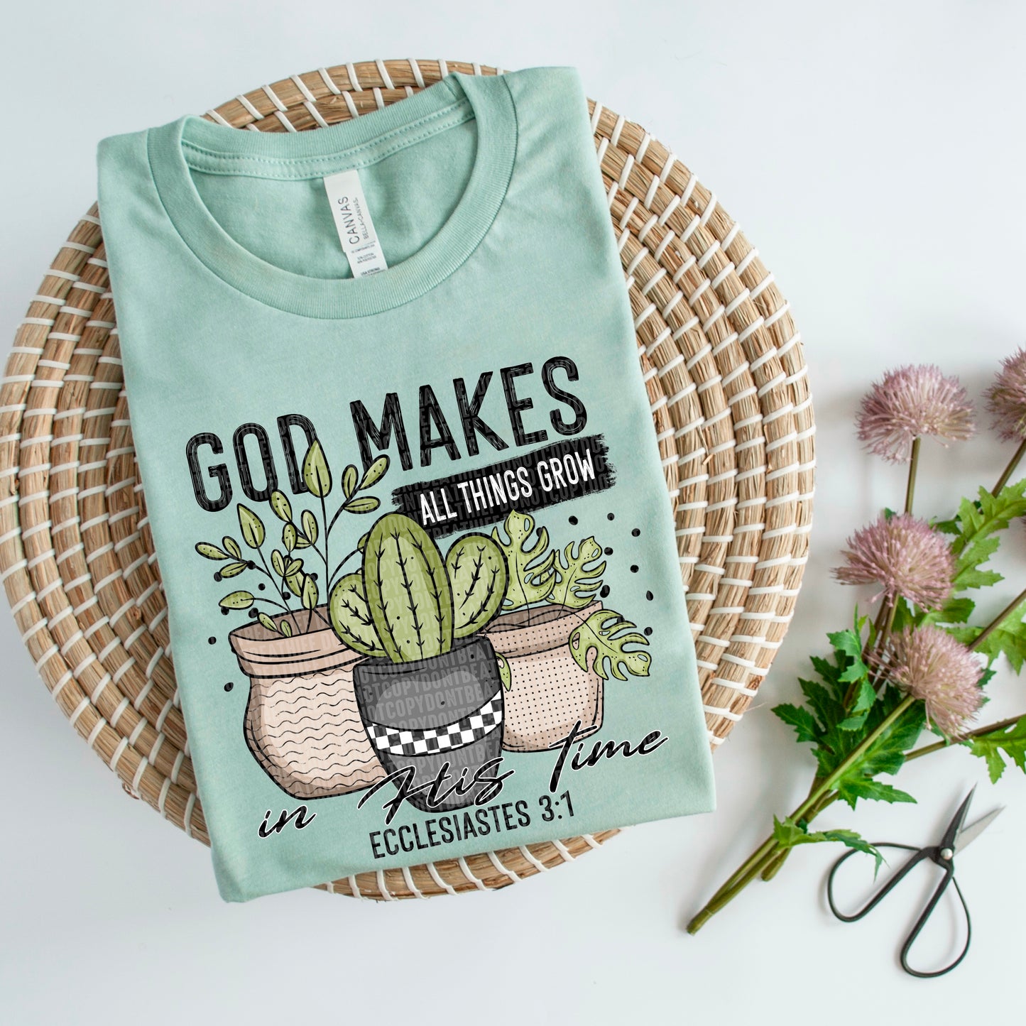 Cacti-God makes all things grow in His time Ecclesiastes 3:1- DTF Transfer