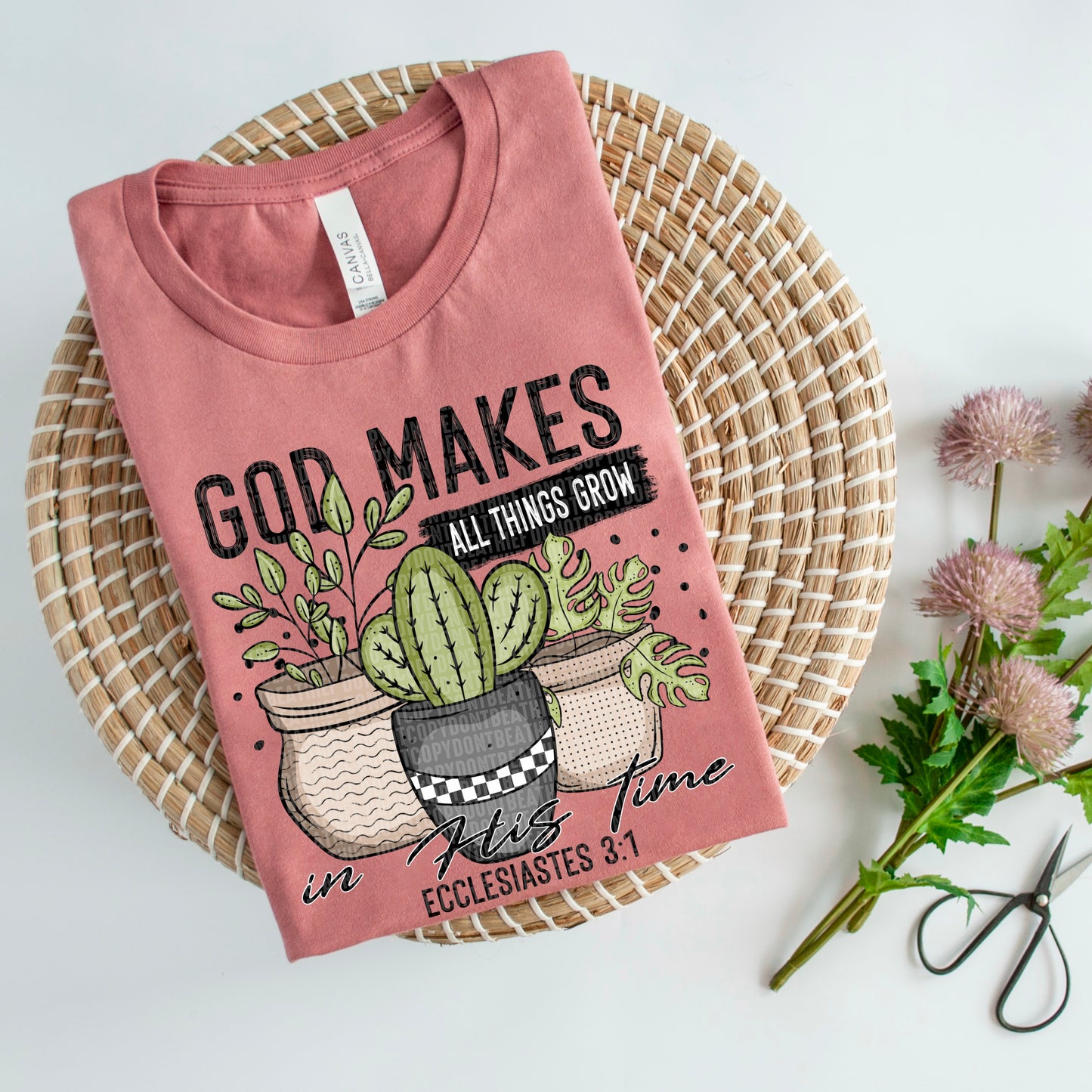 Cacti-God makes all things grow in His time Ecclesiastes 3:1- DTF Transfer