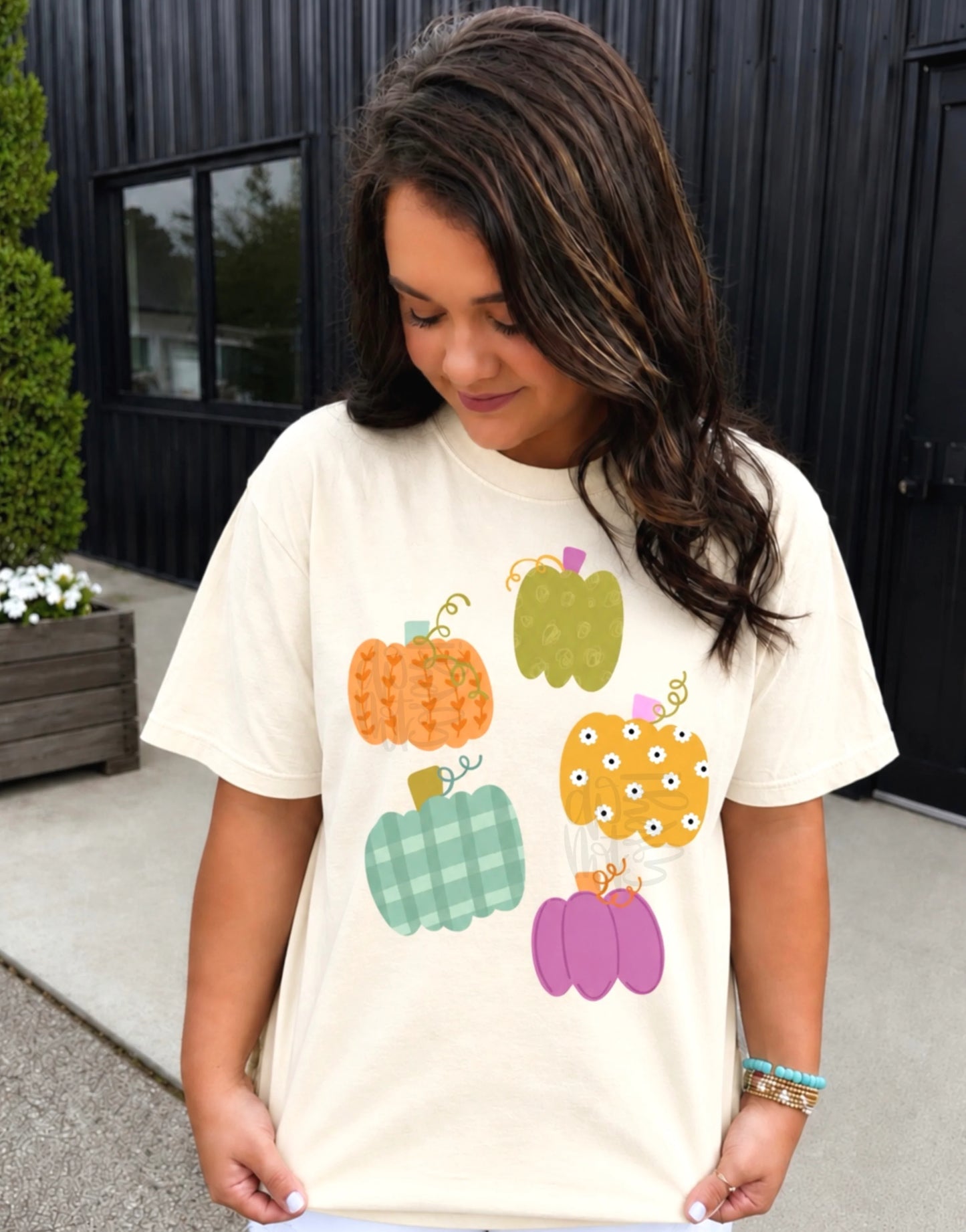 Colorful Pumpkins - DTF Transfer