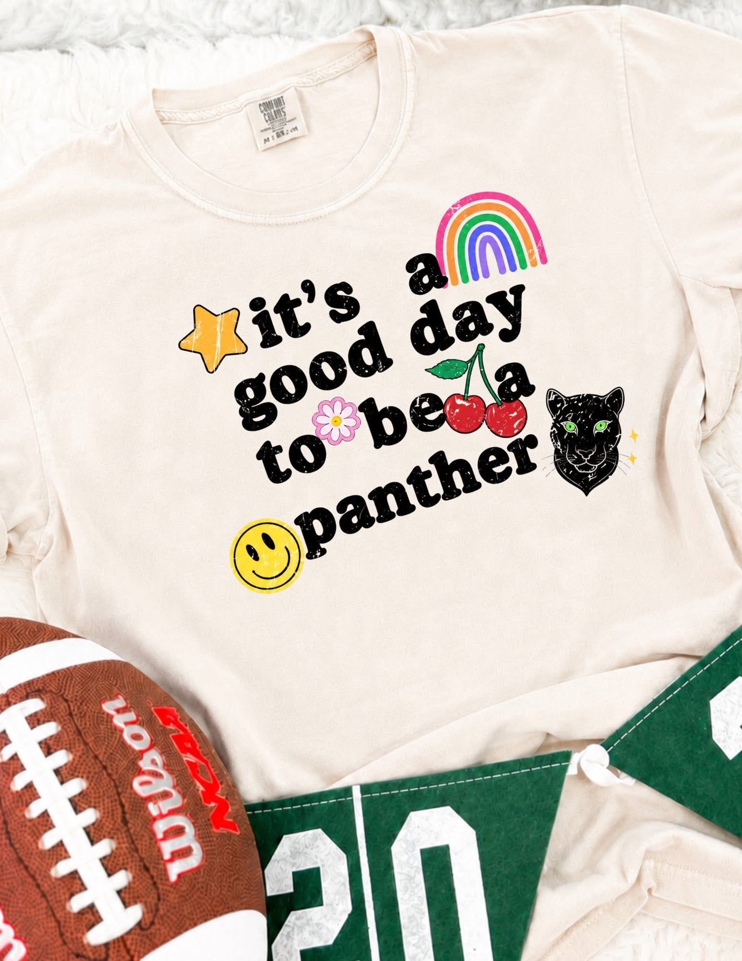 It's A Good Day To Be A Panther