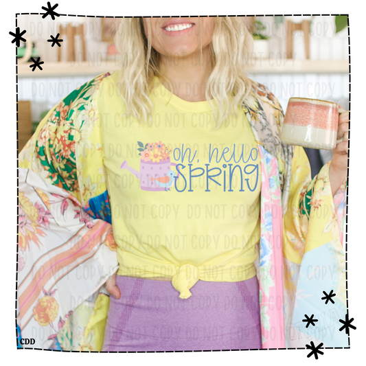 Oh, Hello Spring PC - Bella Canvas