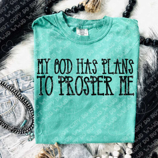 My God has plans to prosper me- DTF Transfer