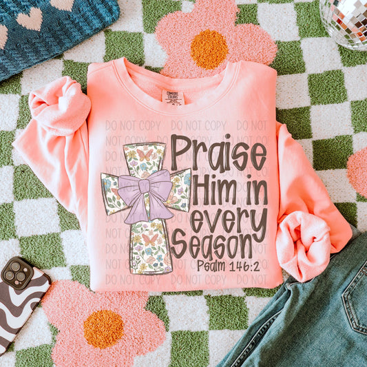 Praise Him in Every Season - DTF Transfer