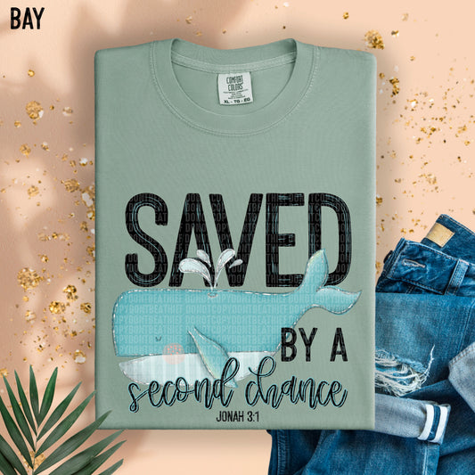 Saved by a second chance Jonah 3:1- DTF Transfer