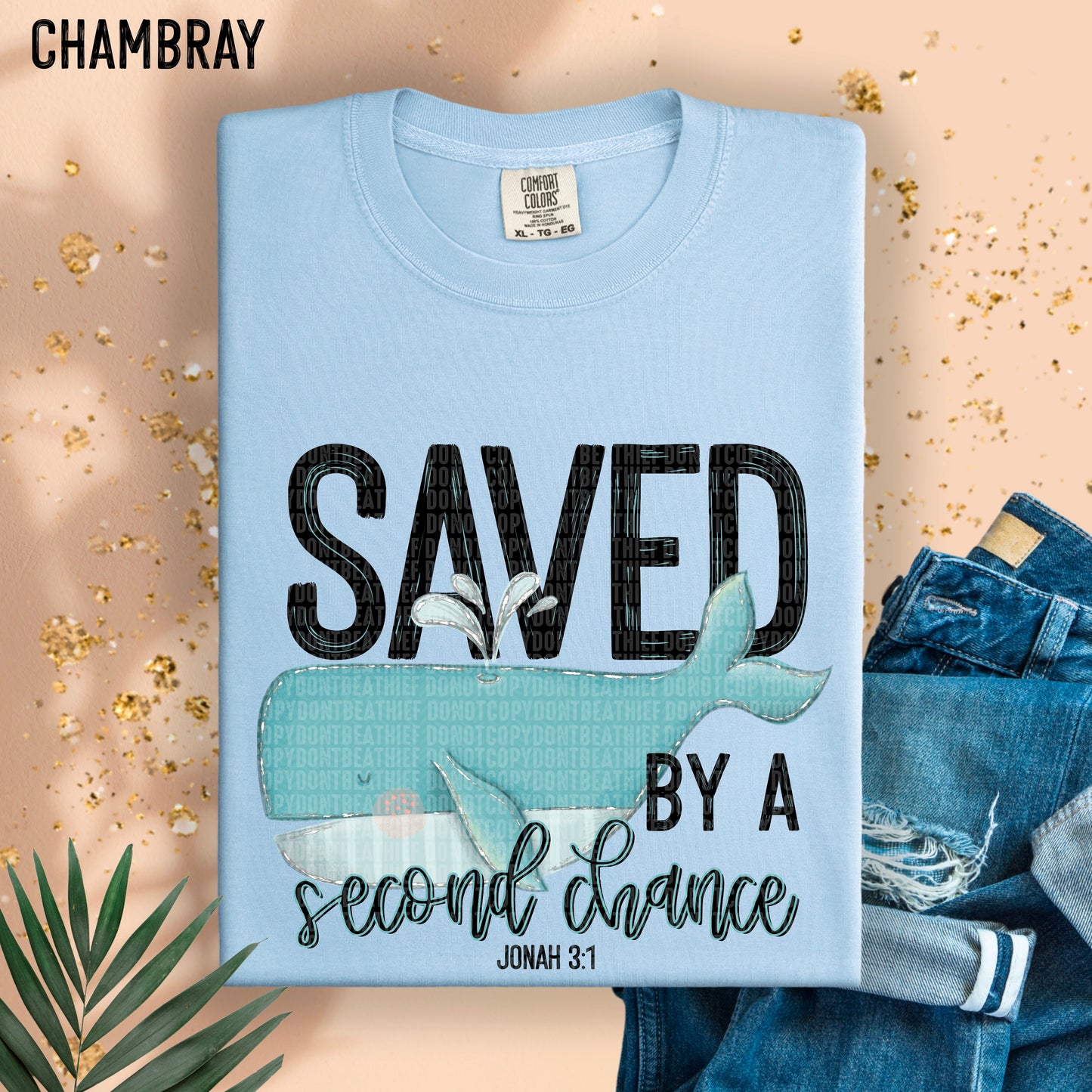 Saved by a second chance Jonah 3:1- DTF Transfer
