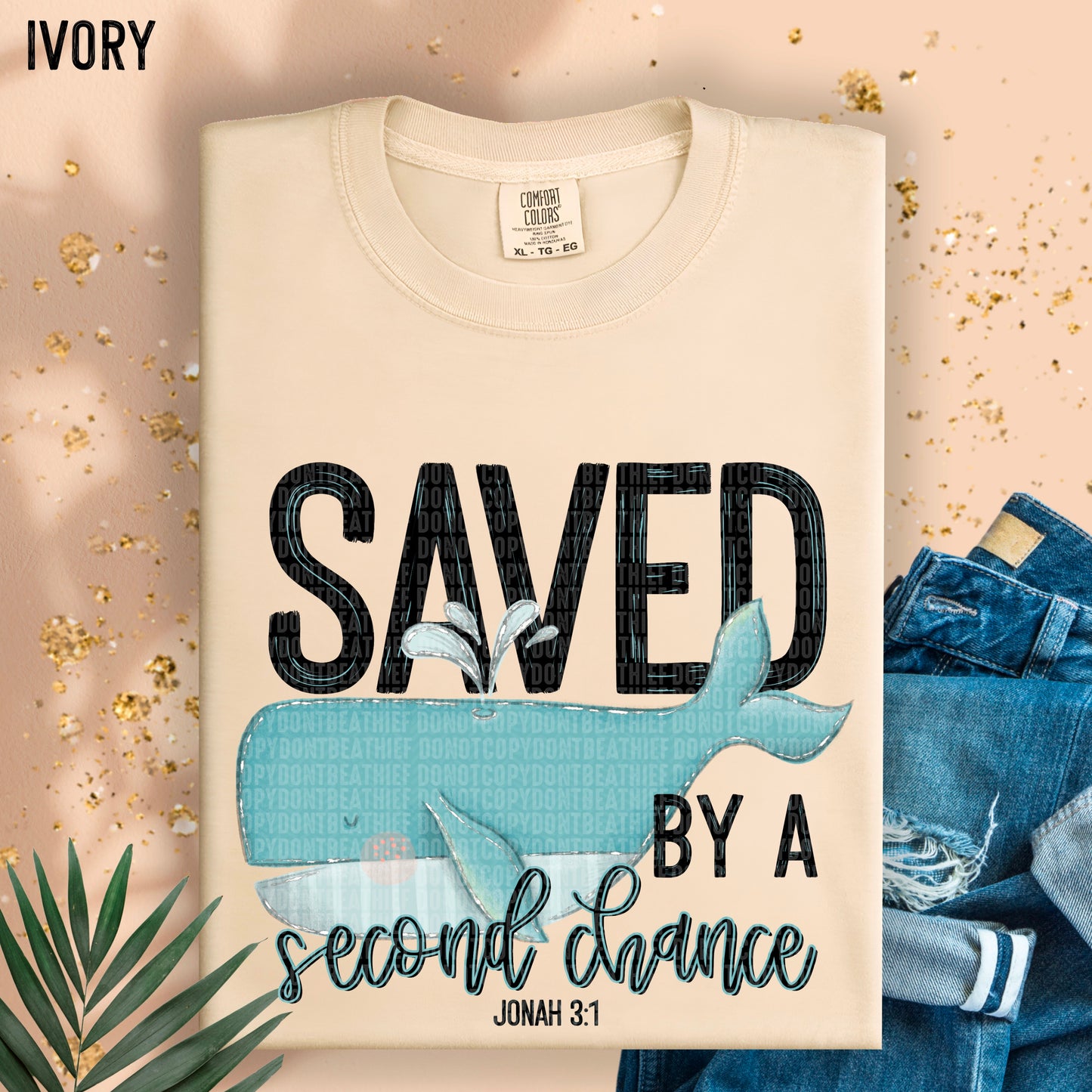 Saved by a second chance Jonah 3:1- DTF Transfer