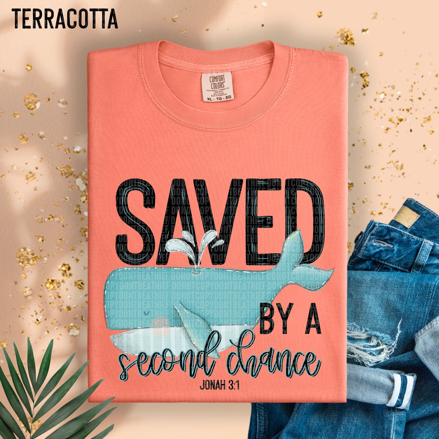 Saved by a second chance Jonah 3:1- DTF Transfer