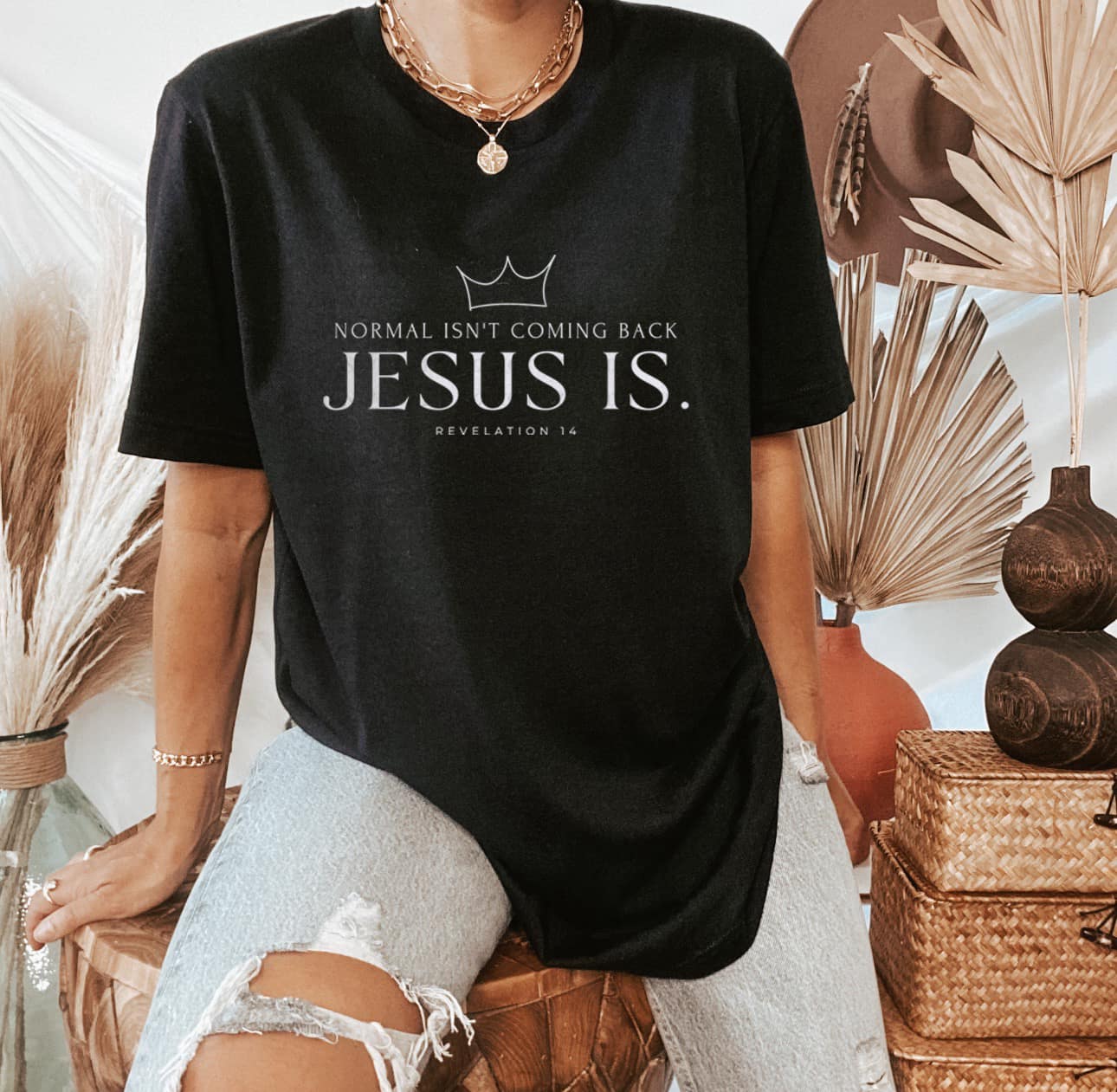 Normal isn't coming back Jesus is Revelations 1:4-DTF Transfer